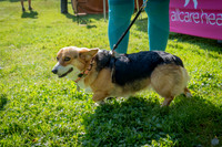 2026ACHHC-Juneteenth-GP-Full Size-05970