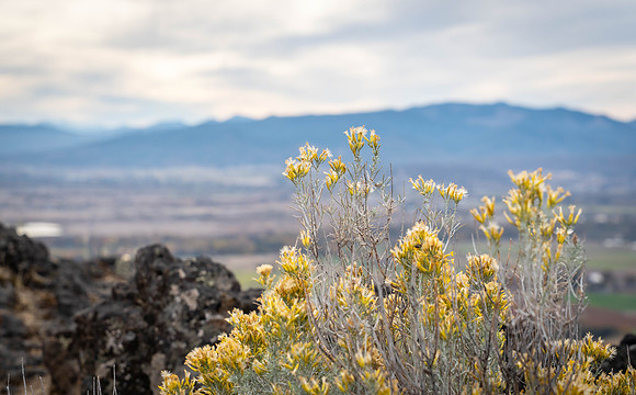 2026 Upper Table Rock-03621