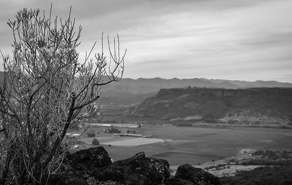 2026 Upper Table Rock-03626