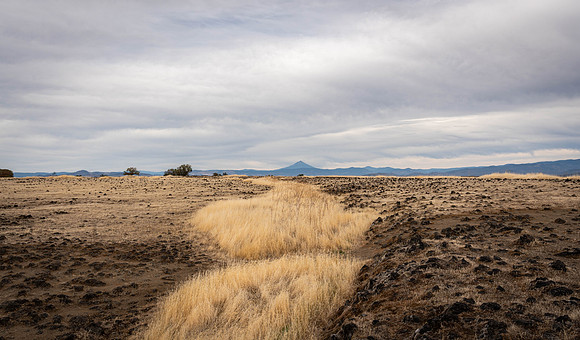 2026 Upper Table Rock-03637
