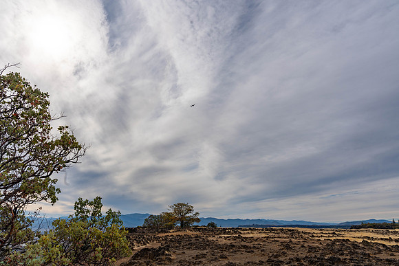 2026 Upper Table Rock-03586