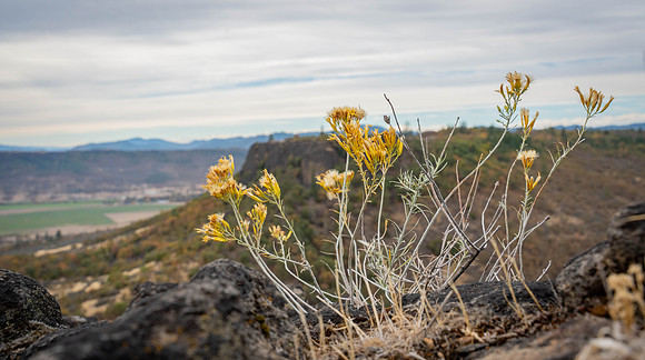 2026 Upper Table Rock-03617